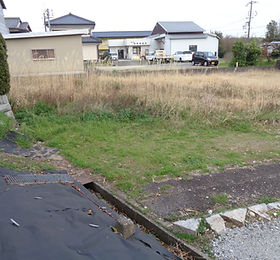 DSC08798.JPG