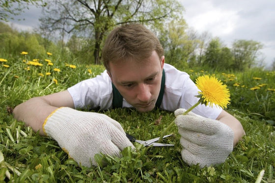 Tips to Consider When Hunting for the Best Pest and Weed Control Professionals in St Johns