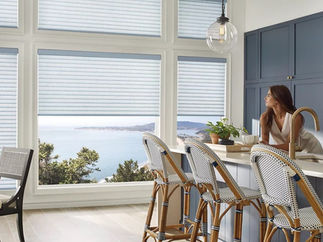 Hunter Douglas Sonnette Roller Shades Dining Room