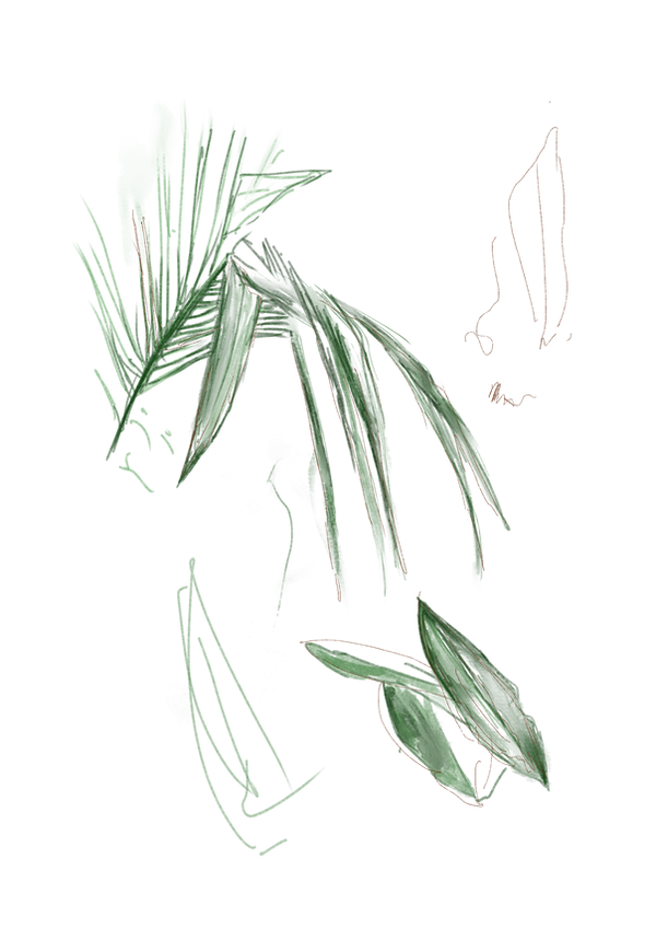 Untitled_Artwork.png