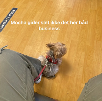 Mocha på en båd