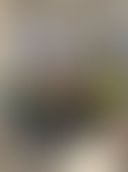 Let There be Light XVI