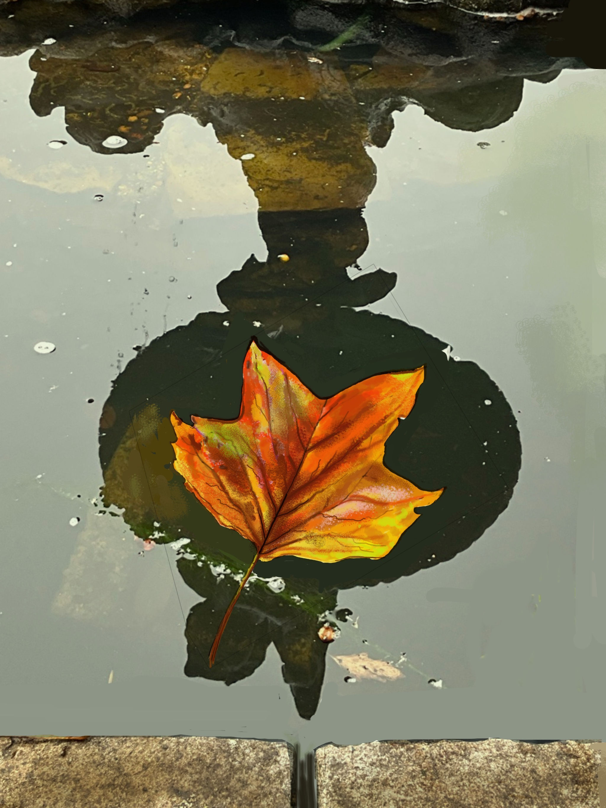 Autumn Leaf On A Fountain Reflection