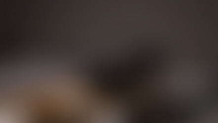 Airsoft Milsim News Review | PTS Unity Tactical AXON-SL – AMNB Overview