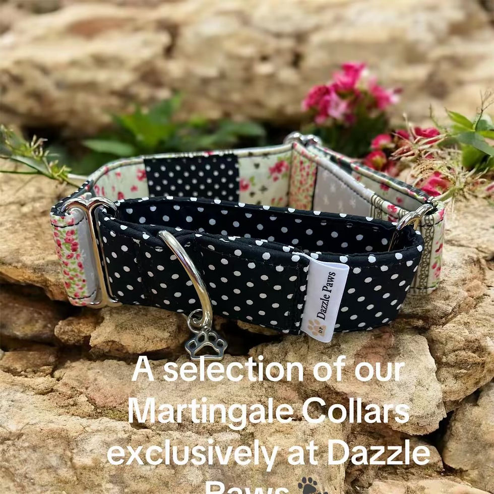 Thumbnail: Themed Martingale Collars