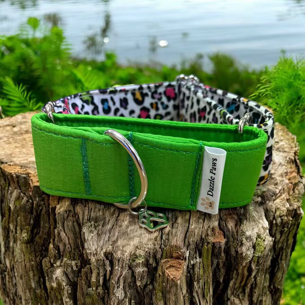 Thumbnail: Themed Martingale Collars