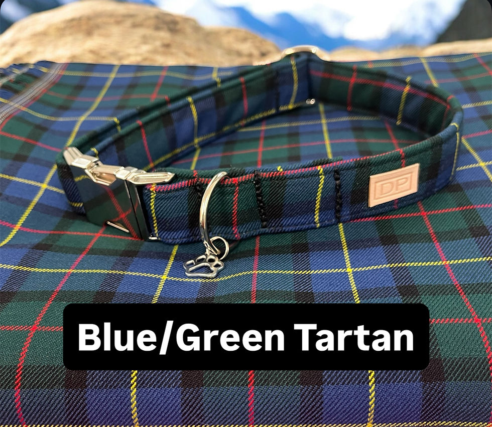 Thumbnail: Tartan Collars