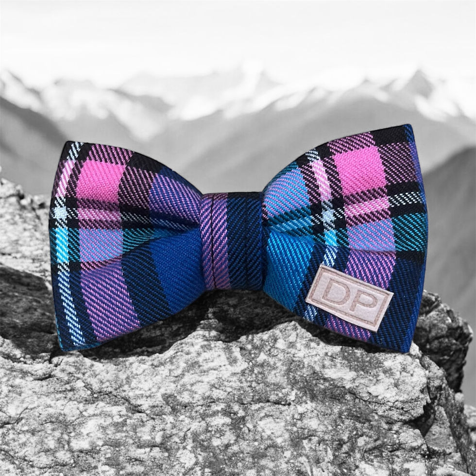 Thumbnail: Tartan Bowtie