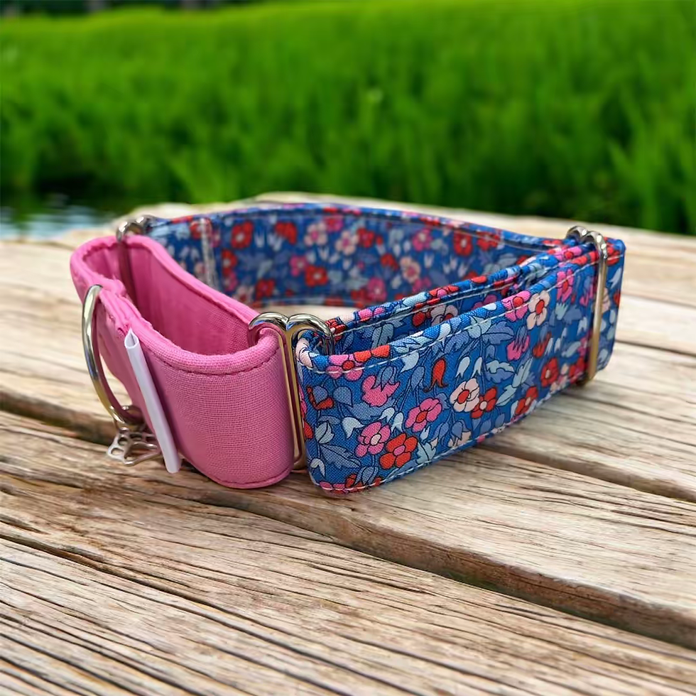 Thumbnail: Themed Martingale Collars