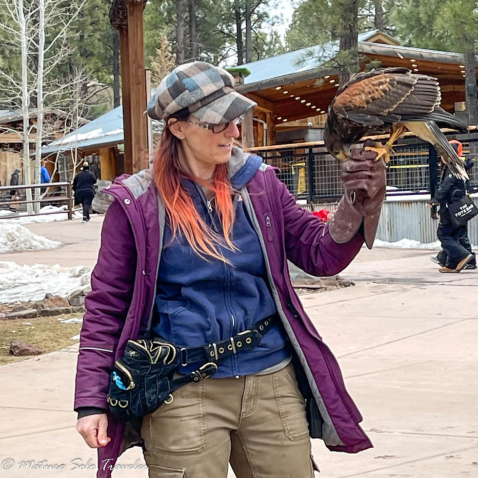 a keeper dressed in protective clothing with a specially protective glove has a vulture on her hands. she flies the bird from herself across a stretch of grass to another keeper