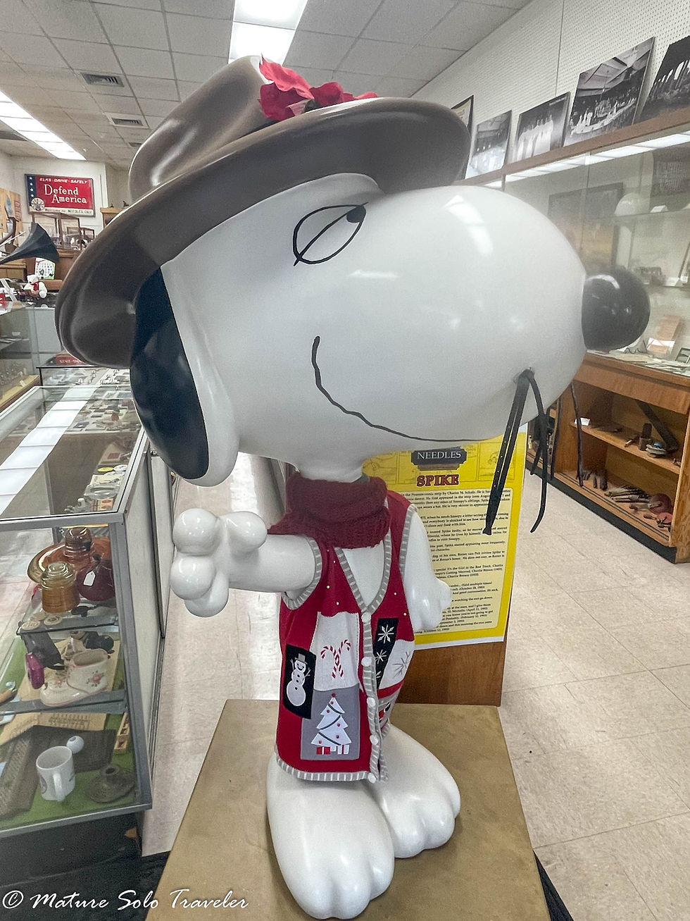 standing around 5 feet tall is a statue of Spike, Snoopys brother. He has a wide grin and a few hairs of a moustache hanging down. He wears a rangers brown hat and a Christmas vest. he has one paw stretched out in greeting. Spike stands in the Needles museum surrounded by historical memorablilia