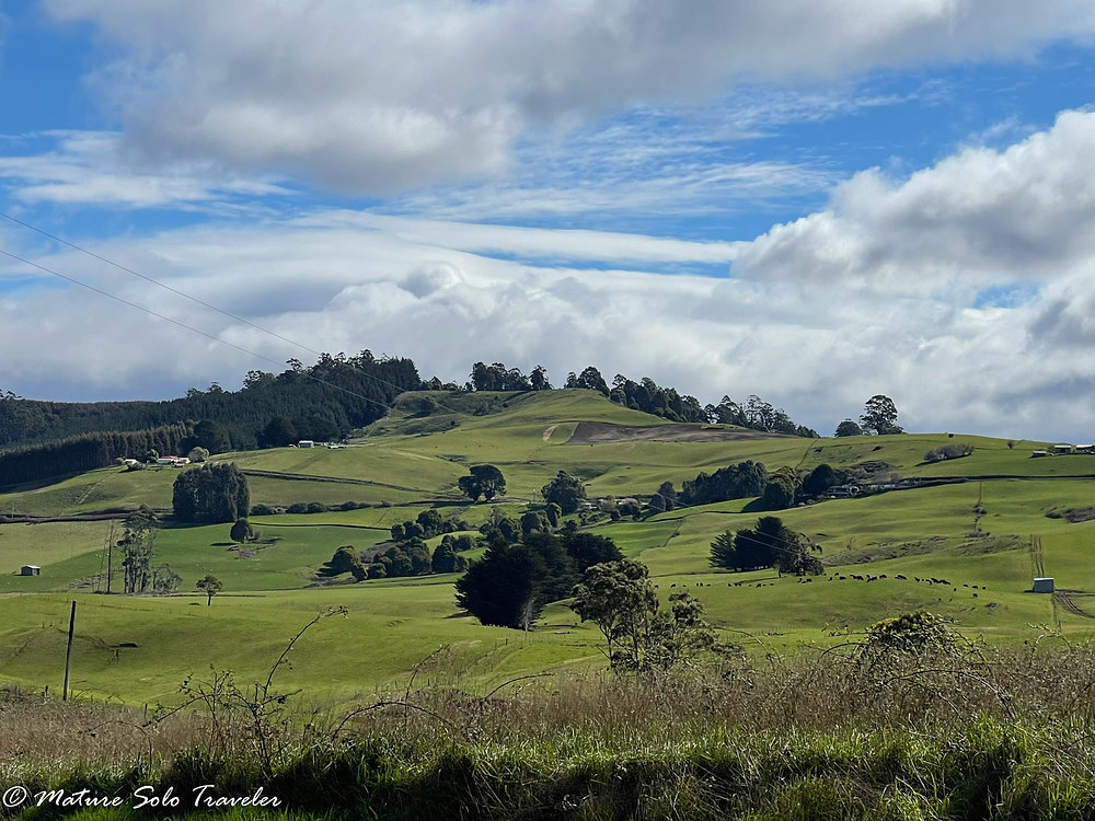 10 things to see and do in Wilmot, Tasmania, Australia