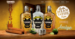 TERREMOTO TEQUILA WEB