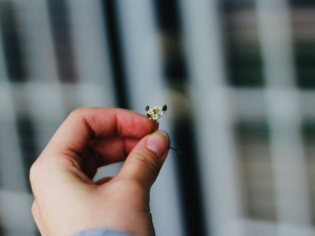 Women in industry | Tiny girl in a big world.