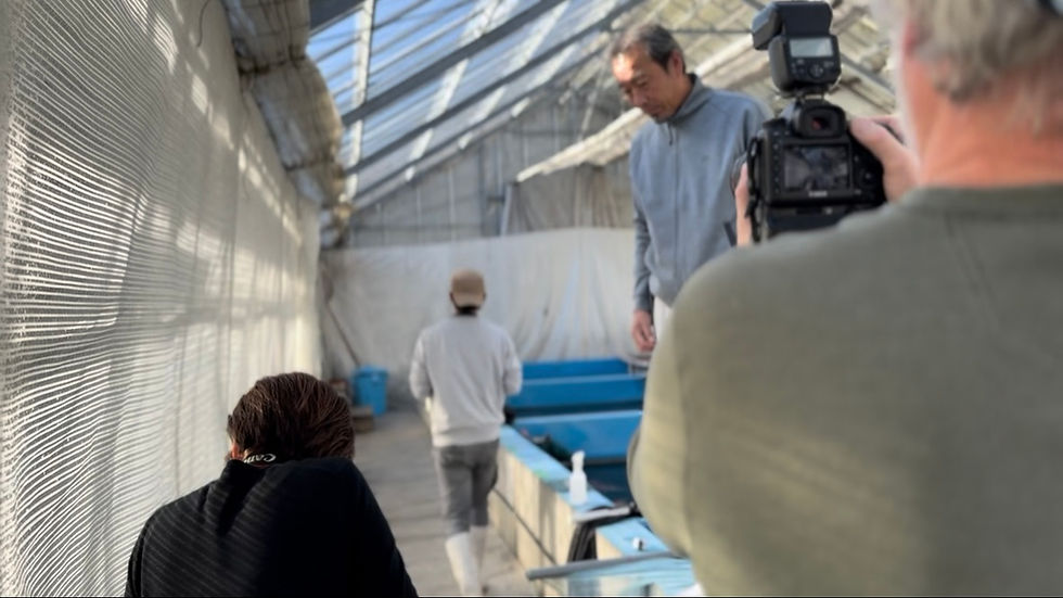 Futoshi Maruyama San showing us Jumbo Tosai Available 