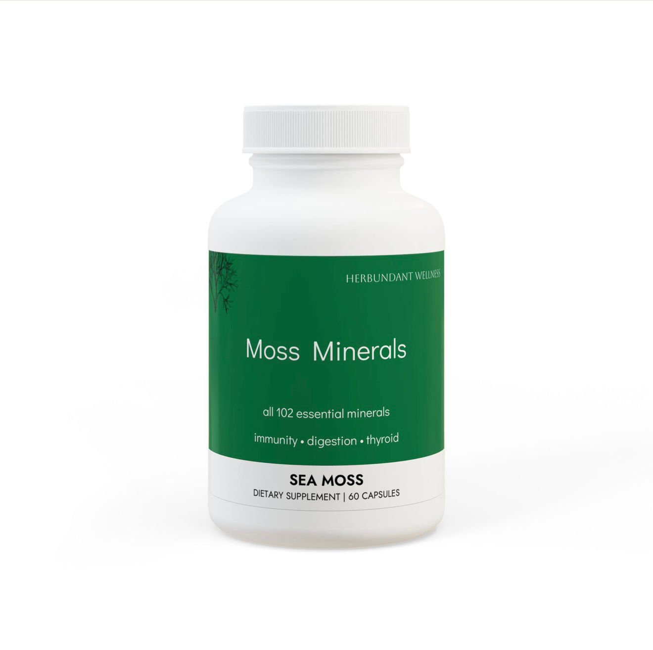 Moss Minerals | A Multi-Mineral Supplement 