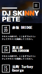 音楽 website templates – レイブ DJ