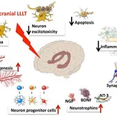 parkinsons-disease at durban neuro clinic