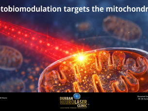 Brain Wellness & Longevity : How Mitochondrial Health Shapes Your Future