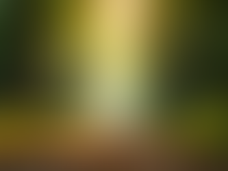 Your Spiritual Awakening Journey