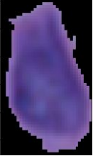 5.PNG