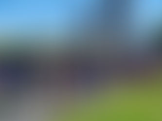 Freezing , overwhelm and the connection to reactivity  