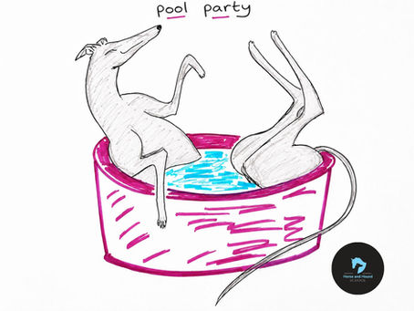 How hot is your dog? Need some ideas to keep them cool?