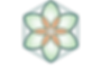 logo seis petalas-.png
