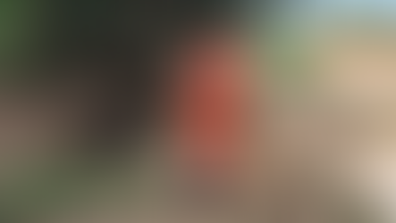 Tecnologia militar e mapeamento via satélite reforçam 17º dia de buscas por Luciano em Ubá