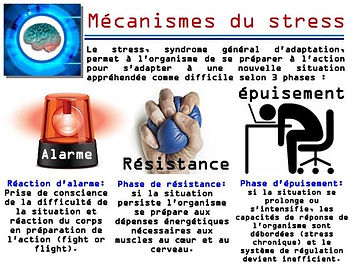 Mécanismes_du_stress.jpg