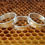 Thumbnail: Bee Band Ring