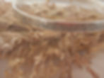 Thumbnail: Meadow Bangle