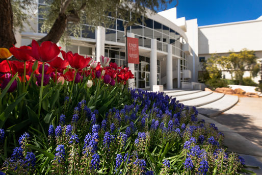 Another Las Vegas Tragedy