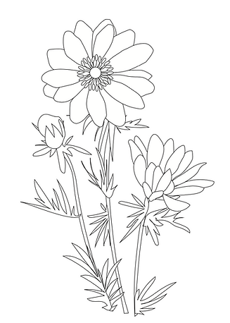 Screenshot 2026-04-02 at 17.29.01.png