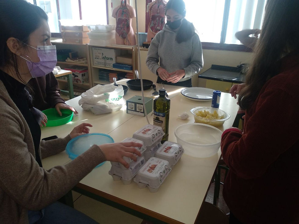 Workshop_Cooking Spanish omelette