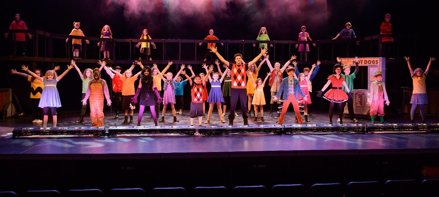 Wellesley Theatre Project