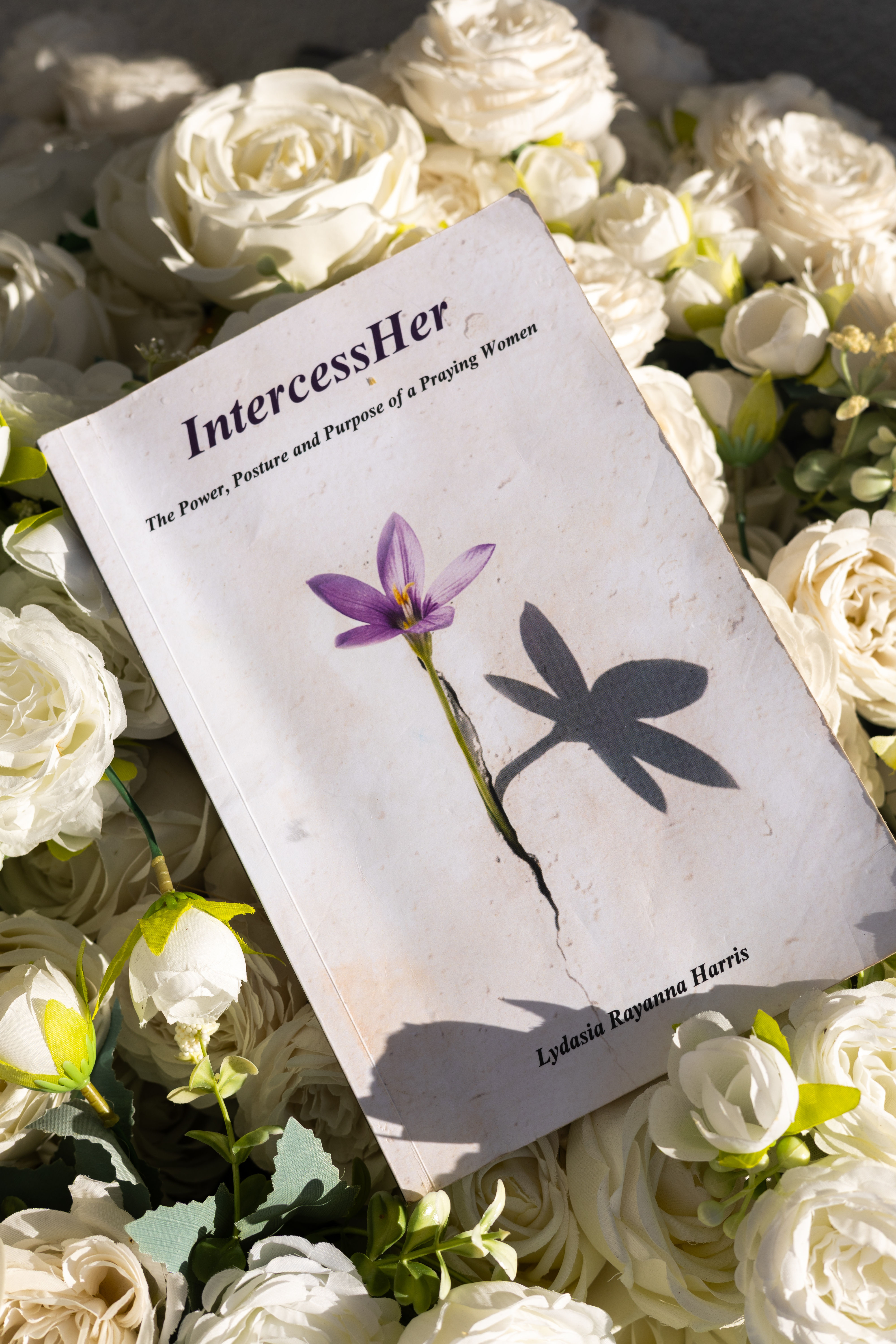 INTERCESSHER (SOFT COPY)