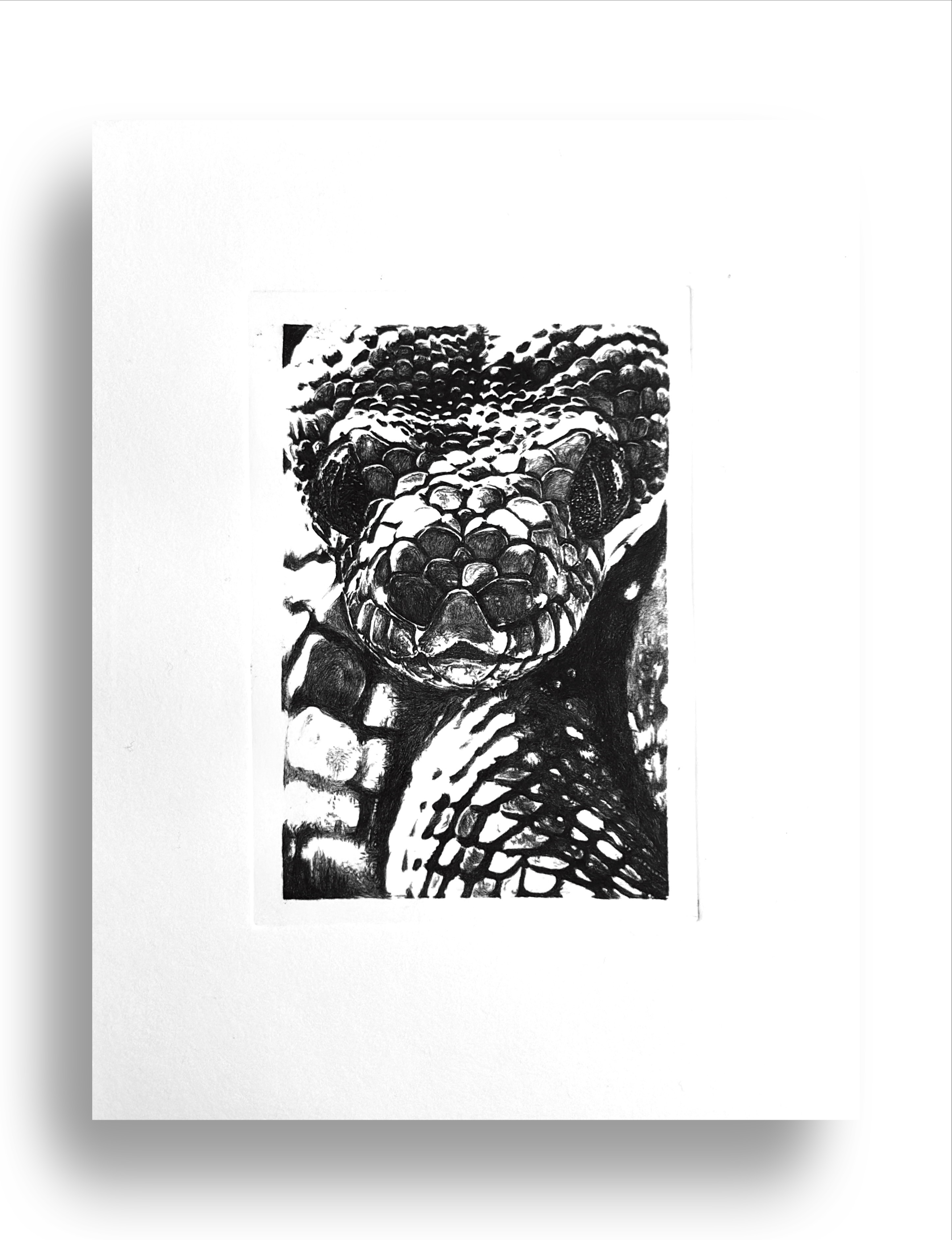 Woman with artichoke.jpg