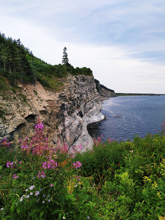 Ile Bonaventure, Parc national de l'Île Bonaventure et du Rocher Percé, Road trip en Gaspésie en famille au Canada, Itinéraire de 8 jours en Gaspésie