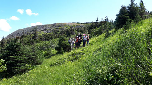 Randonnée au Mont Jacques-Cartier 🥾, Parc national de la Gaspésie ~ Blog Voyage Laura