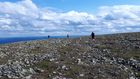 La toundra en haut du Mont Jacques Cartier, Randonnée au Mont Jacques-Cartier 🥾, Parc national de la Gaspésie ~ Blog Voyage Laura