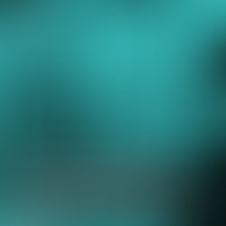 ¿Cómo protegen las inversiones en ciberseguridad el valor de la marca y la confianza de los clientes?