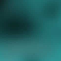 Campanhas internas de cibersegurança são eficazes?