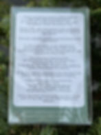 Thumbnail: The 91st Tree From Queensbury Ornament