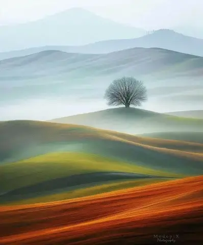 Życie można po prostu przeżyć...