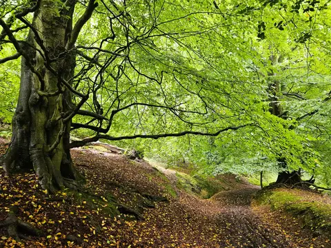 Telford T50 - 82.2km - 2.254 Elevation gain - Circular