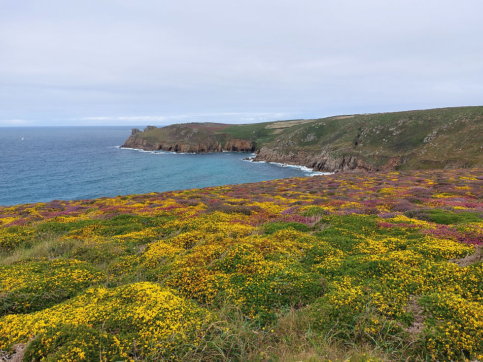 Land’s End to Penzance - 28.4km - 7 godzin i 40 minut - 28.07.23 Piątek