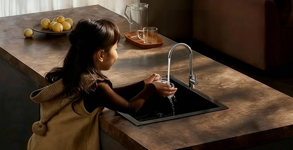 purificador de agua costa rica ecologico ecomaim.jpg