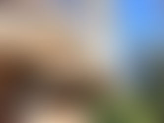 Expert Gutter Replacement to Prevent Leaks and Structural Damage