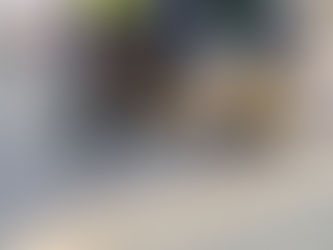 Understanding the Various Types of Roof Repairs and Their Importance